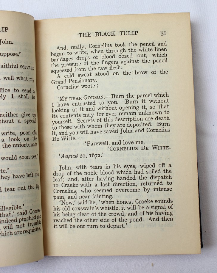 The Black Tulip - Image 2