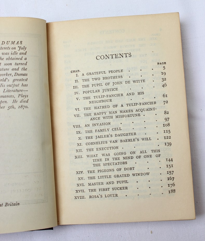 The Black Tulip - Image 5
